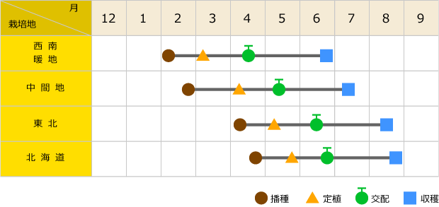 作型モデル表