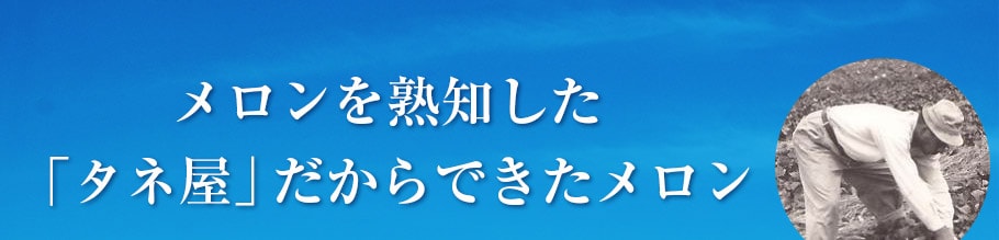 メロンを熟知した「タネ屋」だからできたメロン