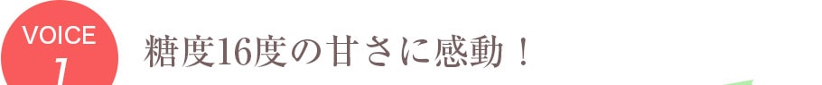 糖度16度の甘さに感動！