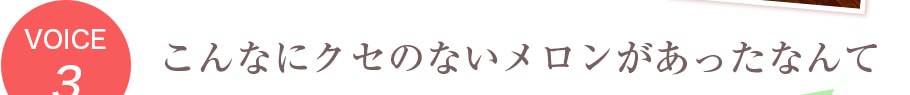 こんなにクセのないメロンがあったなんて