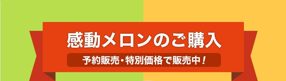 感動メロンのご購入 予約販売・特別価格で販売中！