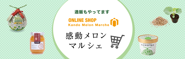 通販サイトができました！感動メロンマルシェ