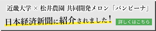 近畿大学×松井農園 共同開発メロン「バンビーナ」が日本経済新聞に紹介されました。