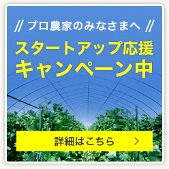 メロン作りは、難しい。だから、おもしろい。