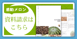 感動メロン資料請求はこちら