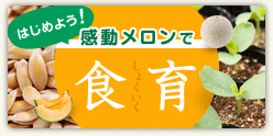 はじめよう！感動メロンで「食育」