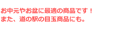 お中元やお盆に最適の商品です！また、道の駅の目玉商品にも。