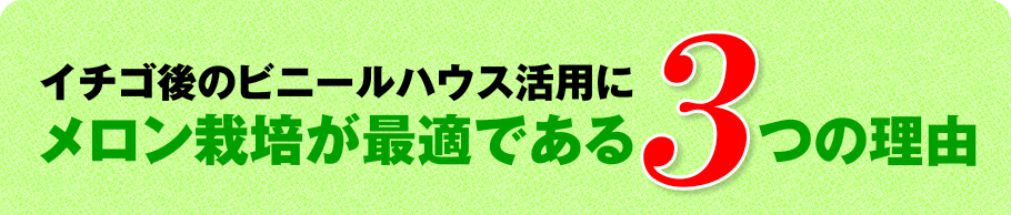 イチゴ後のビニールハウス活用にメロン栽培が最適である3つの理由