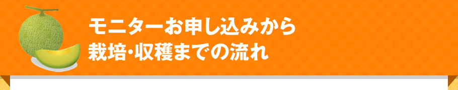 モニターお申し込みからの栽培・収穫までの流れ