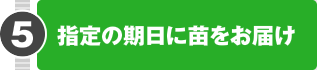 5.指定の期日に苗をお届け