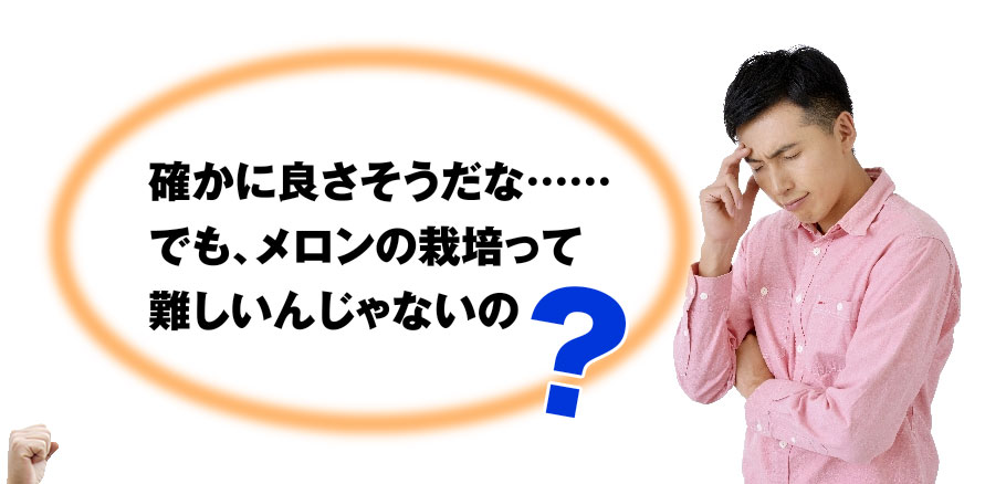 確かに良さそうだな……でも、メロンの栽培って難しいんじゃないの？