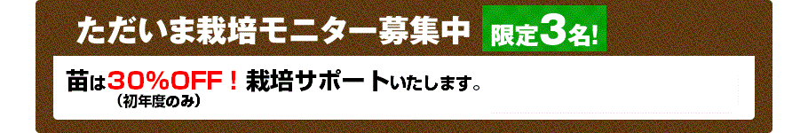 ただいま栽培モニター募集中