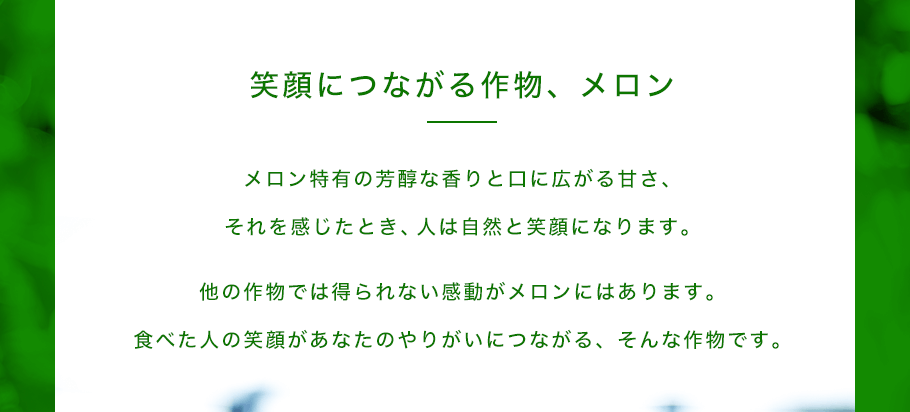 笑顔につなある作物、メロン　メロン特有の芳醇な香りと口に広がる甘さ、それを感じた時、人は自然と笑顔になります。他の作物では得られない感動がメロンにはあります。食べた人の笑顔があなたのやりがいにつながる、そんな作物です。