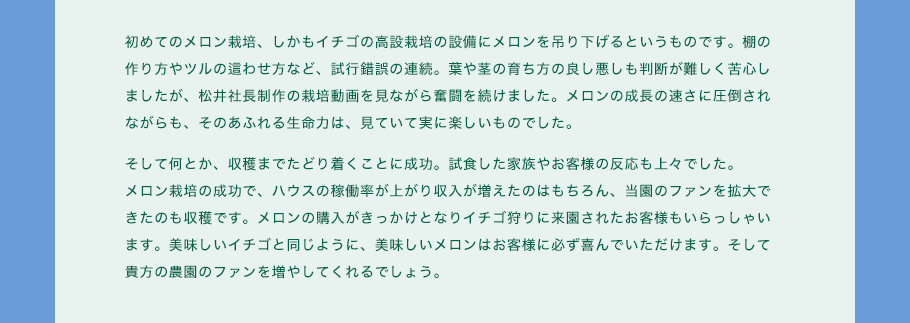 初めてのメロン栽培、しかもイチゴの高設栽培の設備にメロンを吊り下げるというものです。棚の作り方やツルの這わせ方など、試行錯誤の連続。葉や茎の育ち方の良し悪しも判断が難しく苦心しましたが、松井社長制作の栽培動画を見ながら奮闘を続けました。メロンの成長の早さに圧倒されながらも、そのあふれる生命力は、見ていて実に楽しいものでした。そして何とか、収穫までたどり着くことに成功。試食した家族やお客様の反応も上々でした。メロン栽培の成功で、ハウスの稼働率が上がり収入が増えたのはもちろん、当園のファンを拡大できたのも収穫です。メロンの購入がきっかけとなりイチゴ狩りに来園されたお客様もいらっしゃいます。美味しいイチゴと同じように、美味しいメロンはお客様に必ず喜んでいただけます。そして貴方の農園のファンを増やしてくれるでしょう。